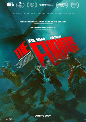 The Furious Plakat