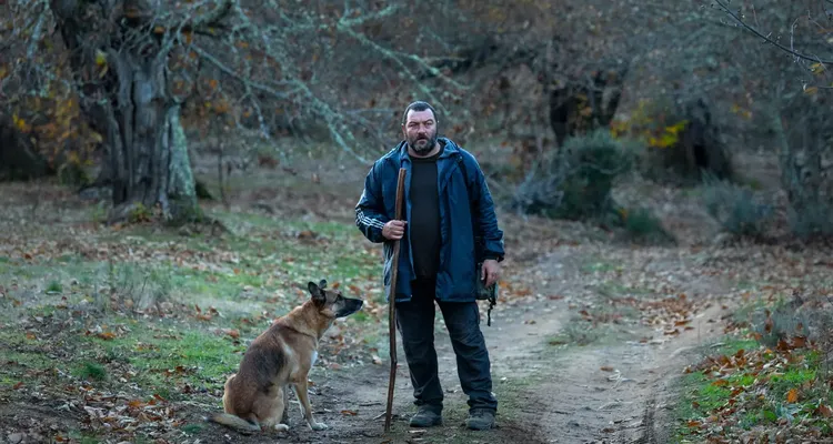Wie wilde Tiere 04.jpg