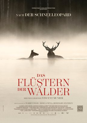 Das Flüstern der Wälder Plakat