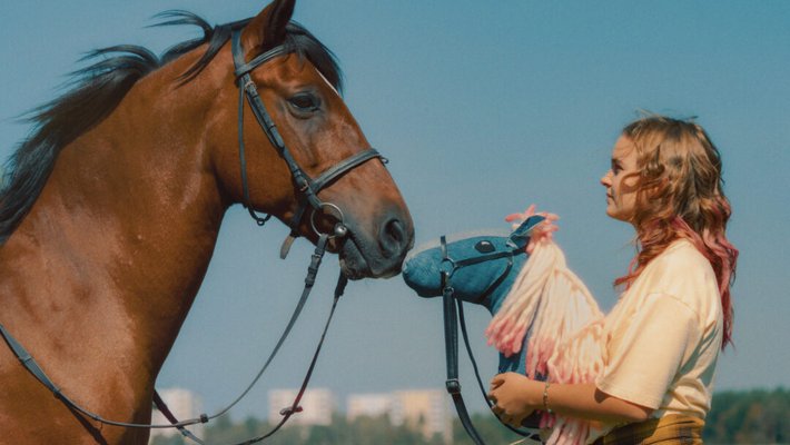 Pferd am Stiel Vorschaubild des Trailers